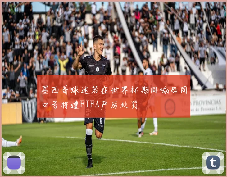 墨西哥球迷若在世界杯期间喊恐同口号将遭FIFA严厉处罚
