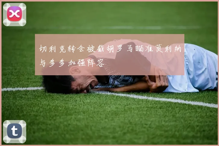 切利克转会被截胡罗马瞄准莫利纳与多多加强阵容